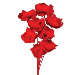 PALM CAP 40 cms. x 8/10 cms. ROJO (54)