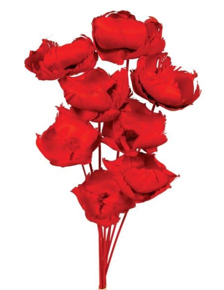 PALM CAP 40 cms. x 8/10 cms. ROJO (54)