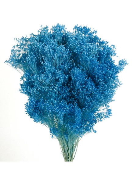BROOMS 50 cms. AZUL (73)