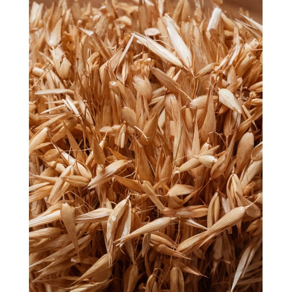 BOUQUET FLOR SECA 12X12X30 AVENA BEIGE