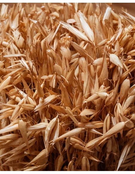 BOUQUET FLOR SECA 12X12X30 AVENA BEIGE