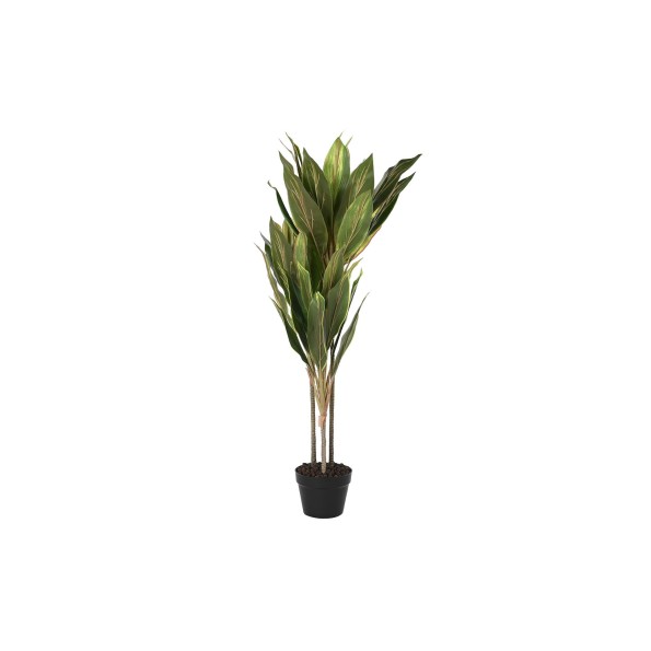 PLANTA PE 50X50X120 DRACENA VERDE