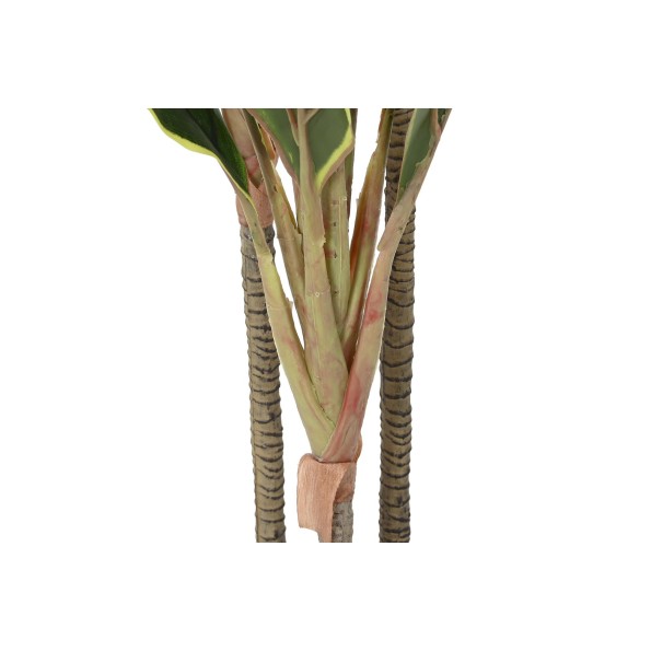 PLANTA PE 50X50X120 DRACENA VERDE