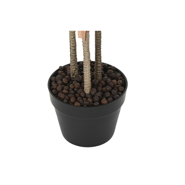 PLANTA PE 50X50X120 DRACENA VERDE