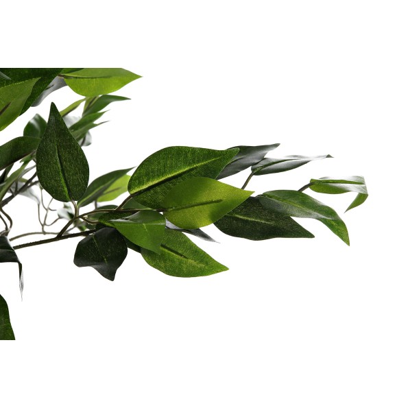 PLANTA PVC PP 60X70X120 FICUS BENJAMIN VERDE