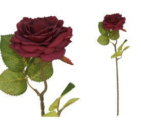 VARA ROSA DRIED -50 CM (ROJO)