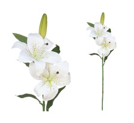 VARA LILIUM R/TOUCH X 3 -70CM (CREMA)