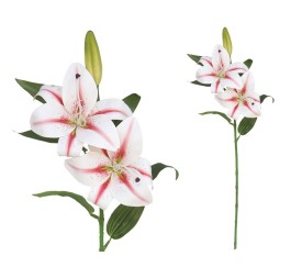 VARA LILIUM R/TOUCH X 3 -70CM (CR/RS)