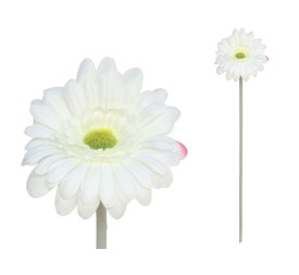 VARA GERBERA MICRO 12CM / 52CM (BLANCO)