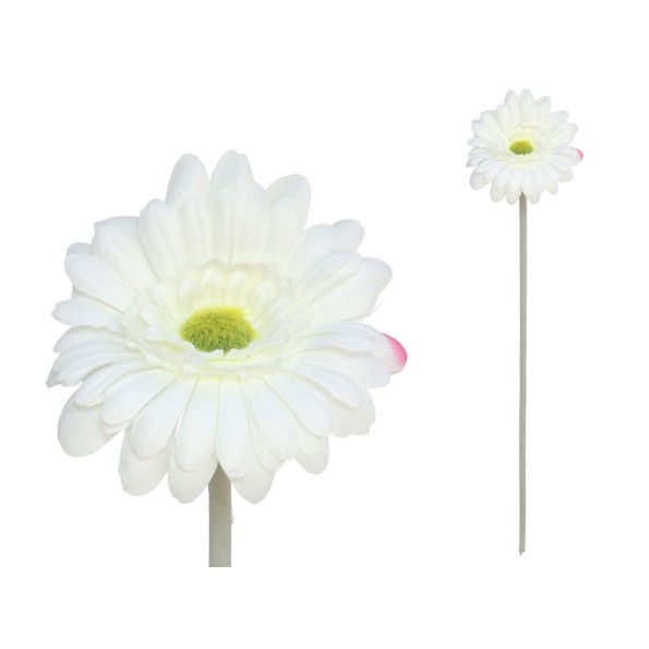 VARA GERBERA MICRO 12CM / 52CM (BLANCO)