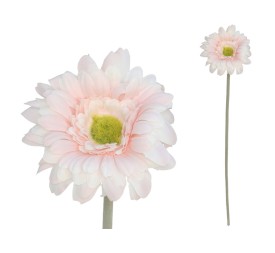 VARA GERBERA MICRO - 12CM / 52CM (CREMA)