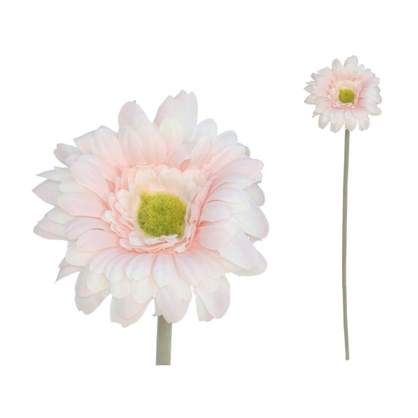 VARA GERBERA MICRO - 12CM / 52CM (CREMA)