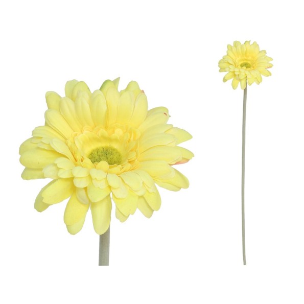 VARA GERBERA MICRO - 12CM / 52CM (AM)