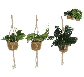 MACETA COLGAR ALGAS PLANTAS SURT 70 CM