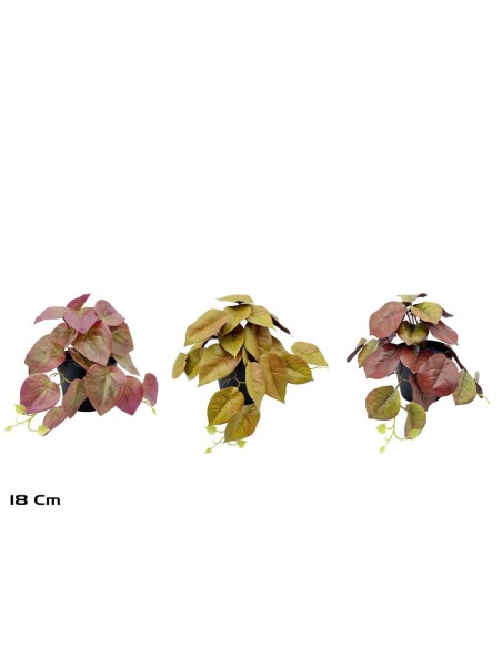 MACETA COLGANTE 23 LVS R/T-18 CM MOD-C (S)