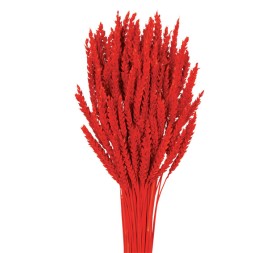 TRIGO FLO 80 cms  ROJO (54)