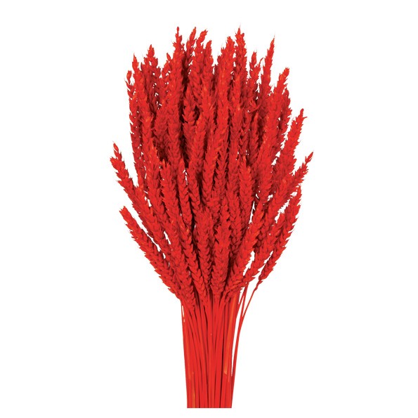 TRIGO FLO 80 cms  ROJO (54)