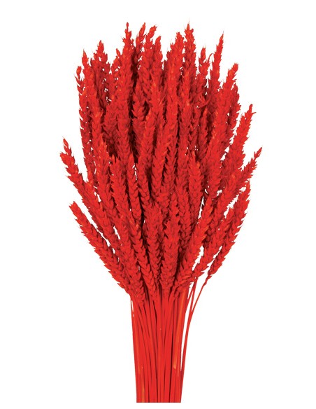 TRIGO FLO 80 cms  ROJO (54)