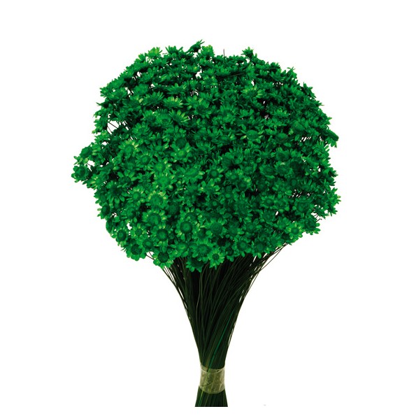 GLIXIA 50 cms VERDE (67)