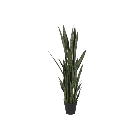 PLANTA PE PP 40X40X150 SANSEVIERIA VERDE