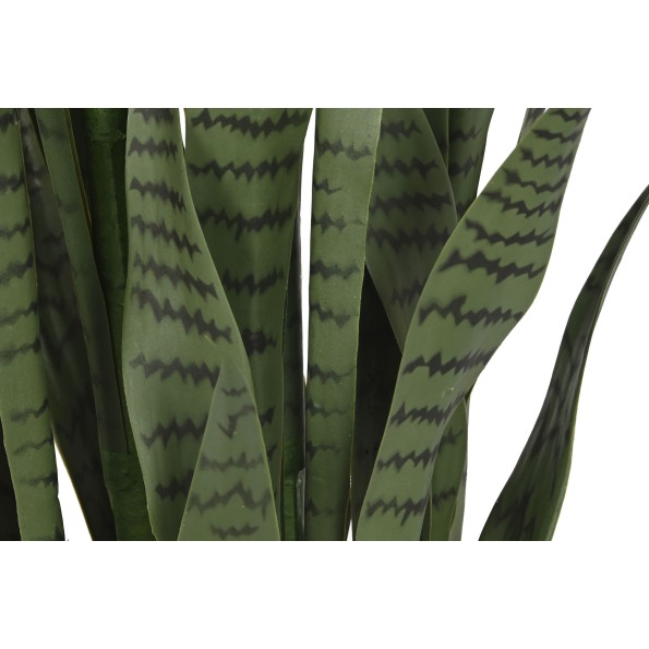 PLANTA PE PP 40X40X150 SANSEVIERIA VERDE
