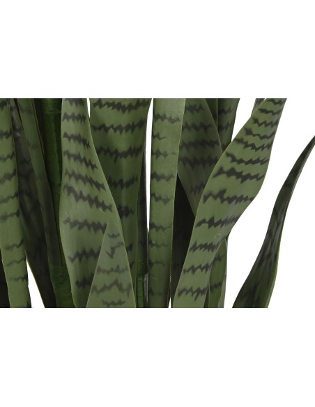 PLANTA PE PP 40X40X150 SANSEVIERIA VERDE