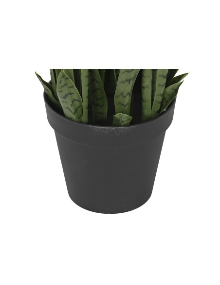 PLANTA PE PP 40X40X150 SANSEVIERIA VERDE