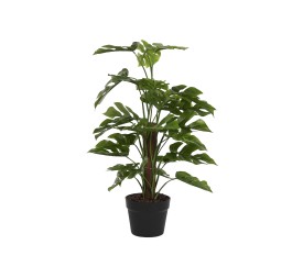 PLANTA PE 40X40X65 MONSTERA VERDE