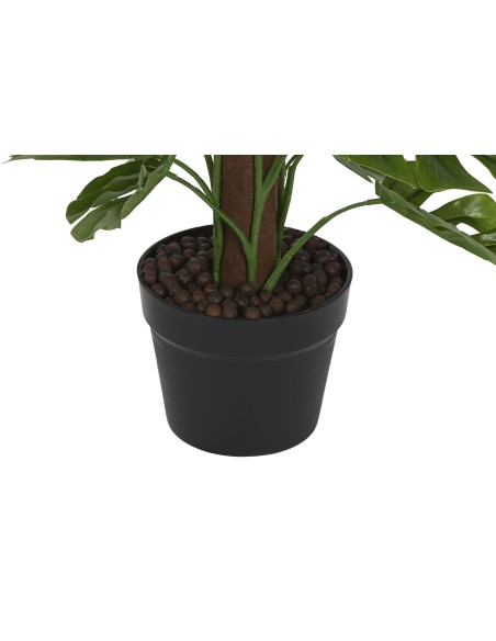 PLANTA PE 40X40X65 MONSTERA VERDE