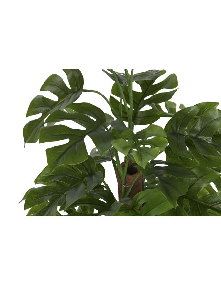 PLANTA PE 40X40X65 MONSTERA VERDE