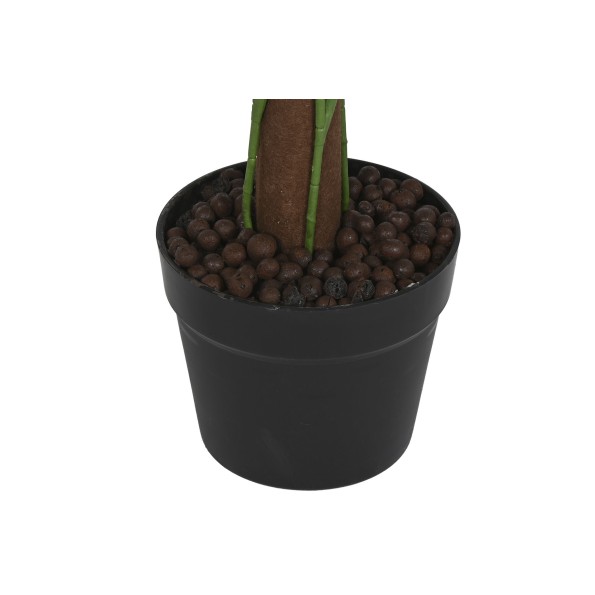 PLANTA PE 45X45X95 CALATHEA VERDE