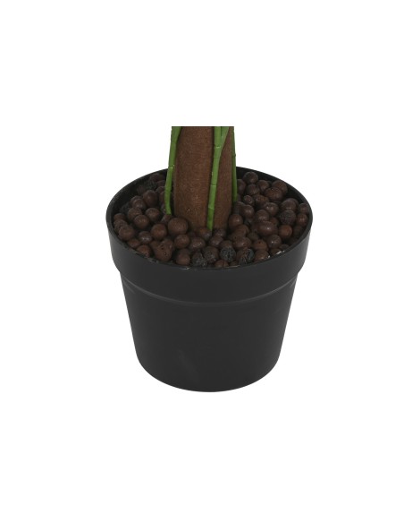 PLANTA PE 45X45X95 CALATHEA VERDE