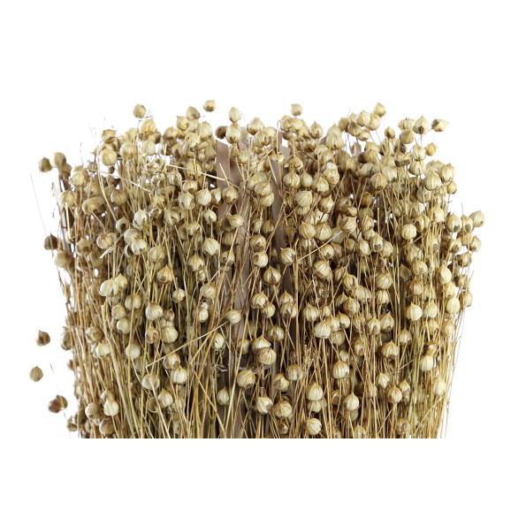 BOUQUET FLOR SECA 12X12X30 TISHI LINAZA NATURAL