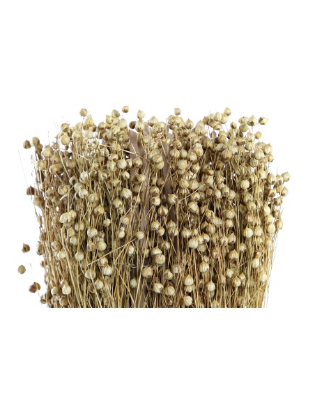 BOUQUET FLOR SECA 12X12X30 TISHI LINAZA NATURAL