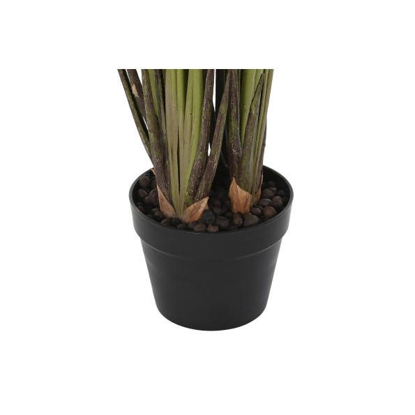 PLANTA PE 50X50X100 LIRIO DE AGUA VERDE