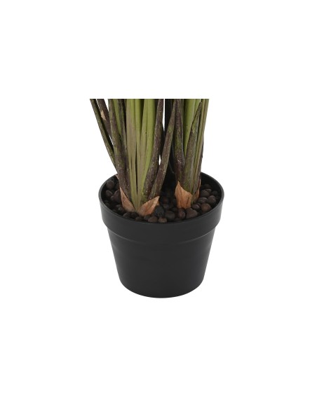 PLANTA PE 50X50X100 LIRIO DE AGUA VERDE