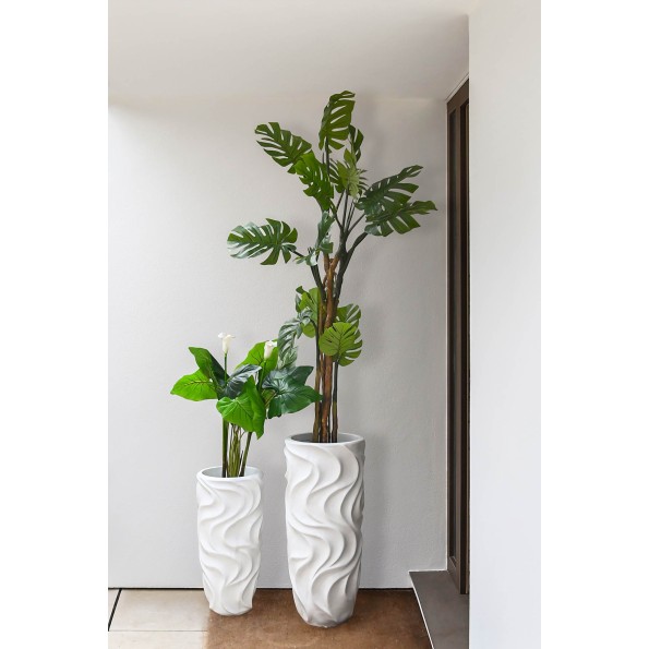 PLANTA PE 50X50X100 LIRIO DE AGUA VERDE