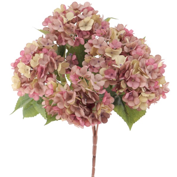 RAMO HYDRANGEAS X 5 VINTAGE (6460-07)