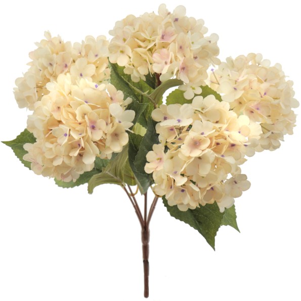 RAMO HYDRANGEAS X 5 VINTAGE (6460-31)