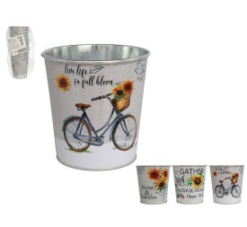 MACETERO GIRASOLES 10X10CM 3STD