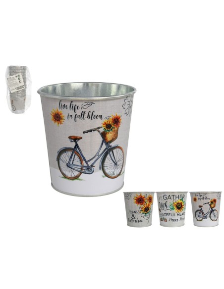 MACETERO GIRASOLES 10X10CM 3STD