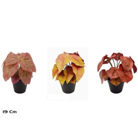 MACETA 14 LVS REAL TOUCH-19 CM MOD-C (S)