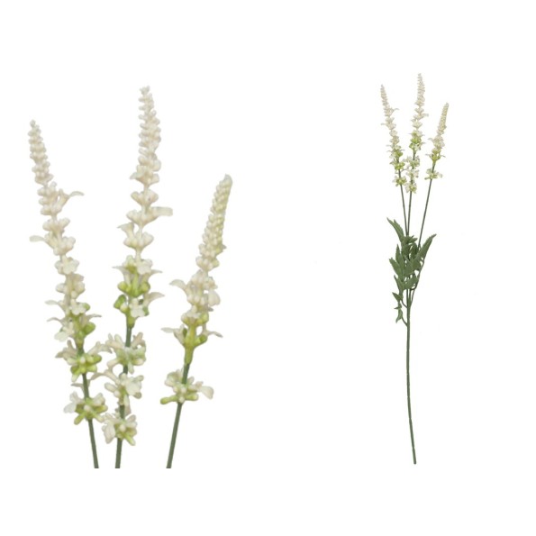 VARA LAVANDA X 3-66 CM (BLANCO)