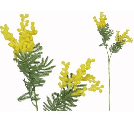 VARA MIMOSA X 2 -75CM (AMARILLO)