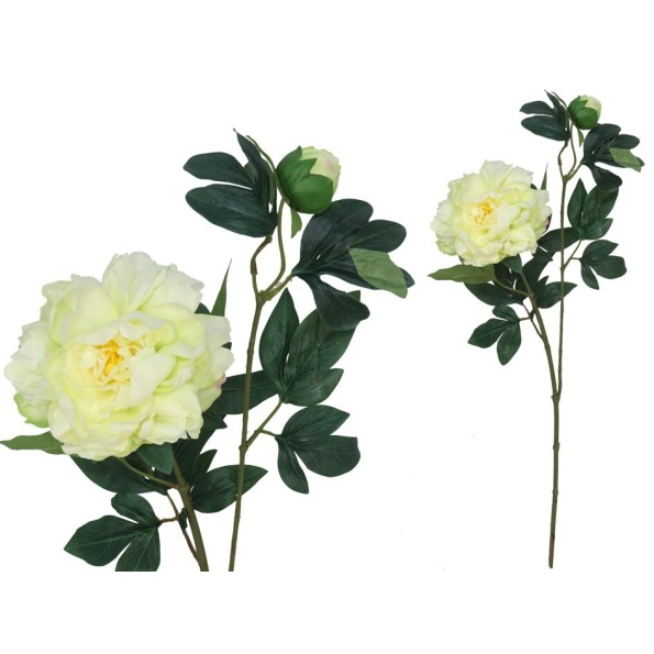 VARA PEONIA X 2 - 68 CM (VERDE)