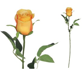 VARA CAPULLO CLASIC - 65CM (TE)