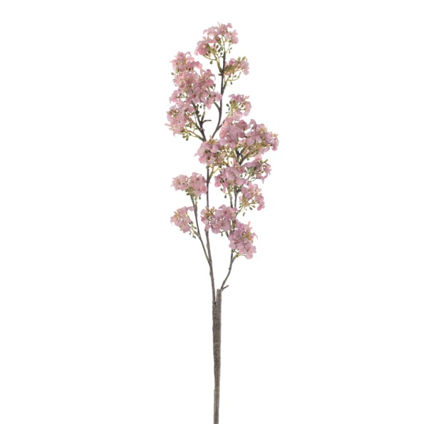 VIBURNUM (6995-06)