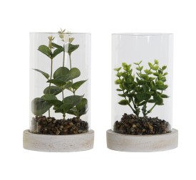 PLANTA PE CRISTAL 12X12X18 2 SURT.