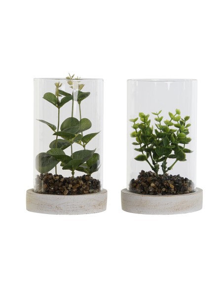 PLANTA PE CRISTAL 12X12X18 2 SURT.