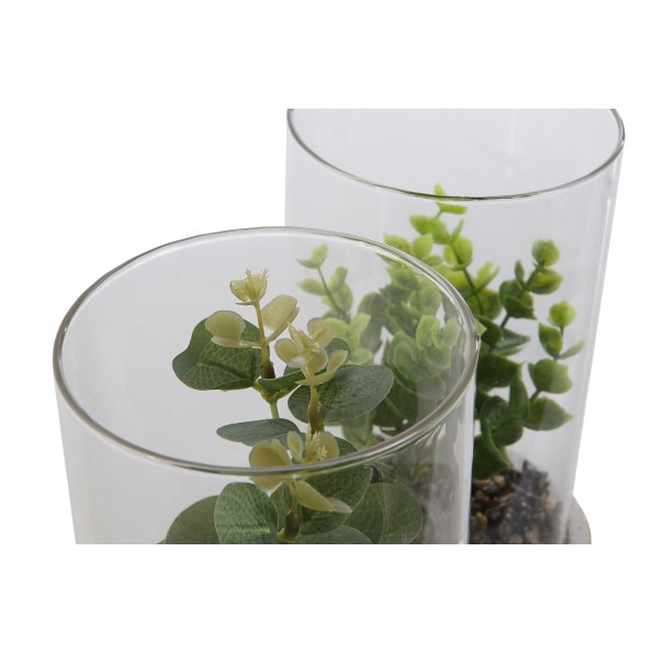 PLANTA PE CRISTAL 12X12X18 2 SURT.